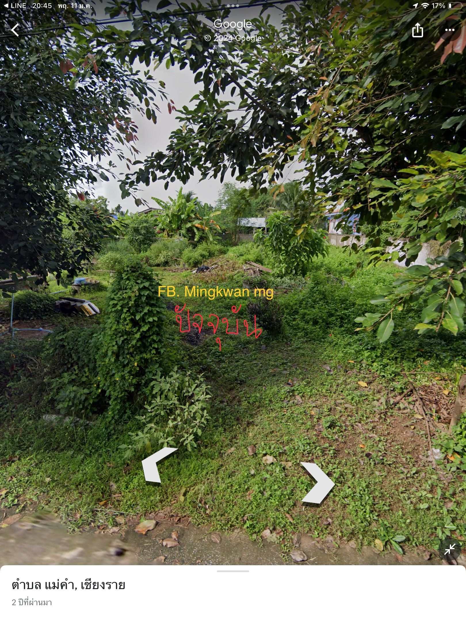 ขายที่ดิน อ.แม่จัน จ.เชียงราย