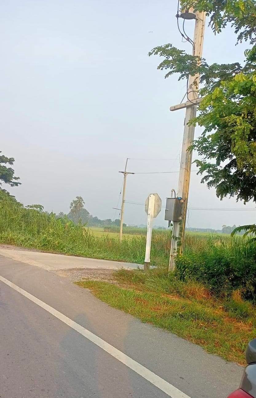 ขายที่ดินนครปฐม กำแพงแสน 2-3-81