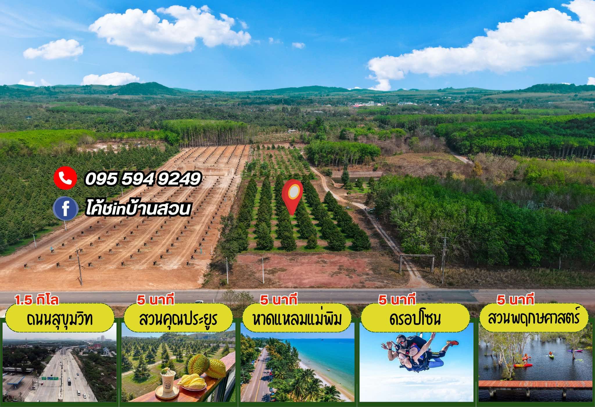 สวนทุเรียนหมอนทอง 