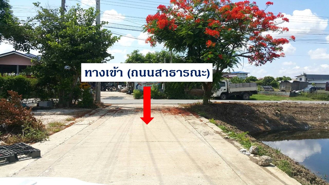 ขายด่วน พื้นที่ ต.หนองปรือ (พื้น40 บ่อ60)