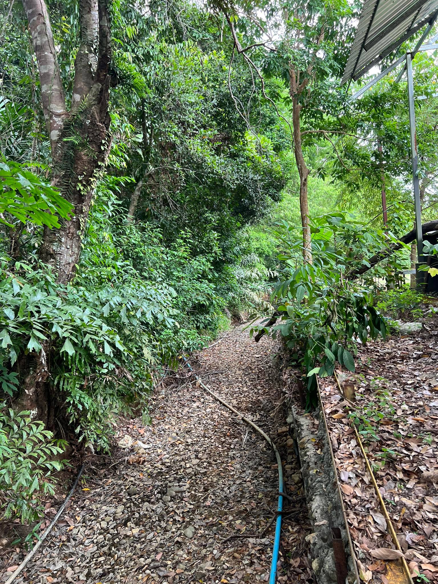 ขายที่ดินโฉนดเกาะช้าง จ.ตราด 1-2-23 ตร.ว.