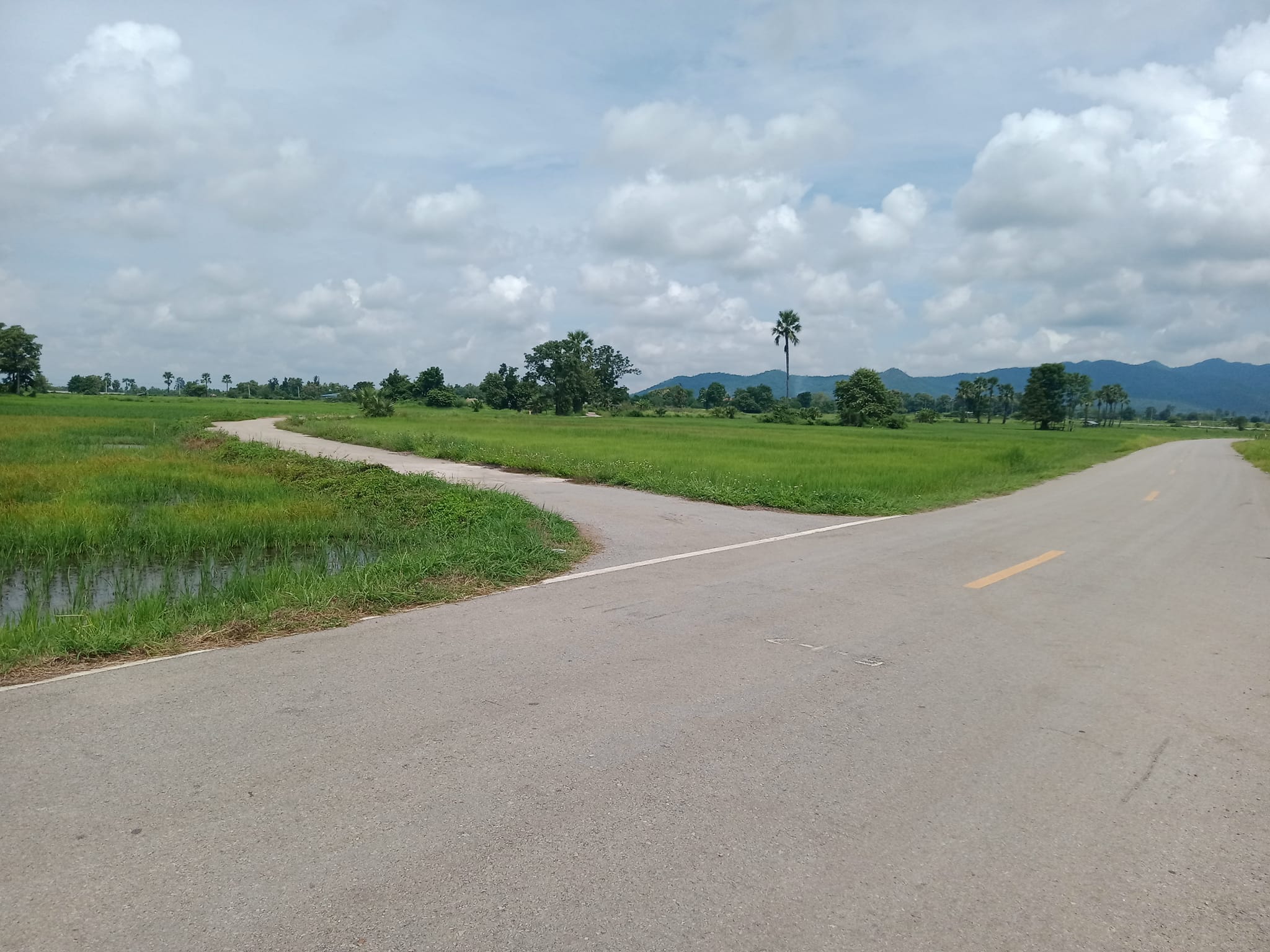 ขายที่ดินลำปาง แม่ทะ 3-3-88