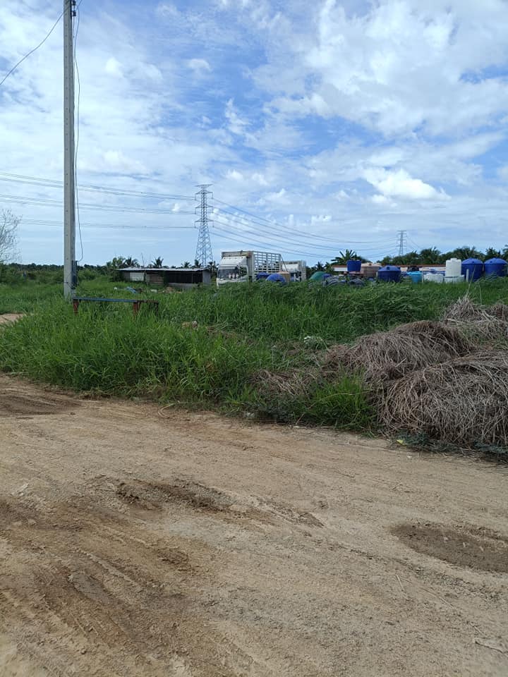 ขายที่ดิน อ.บ้านแพ้ว จ.สมุทรสาคร 167.6 ตรว.