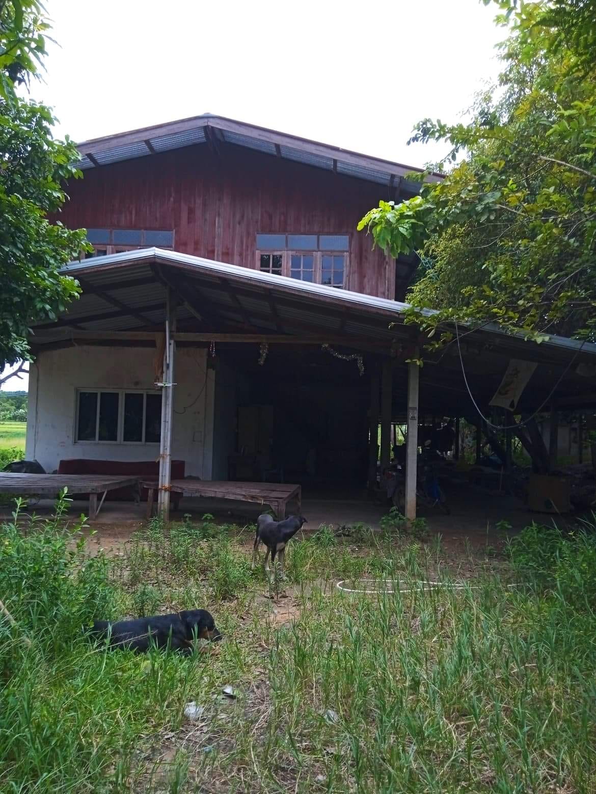 ขายบ้านอุบลฯ เมืองอุบลฯ 5-3-60