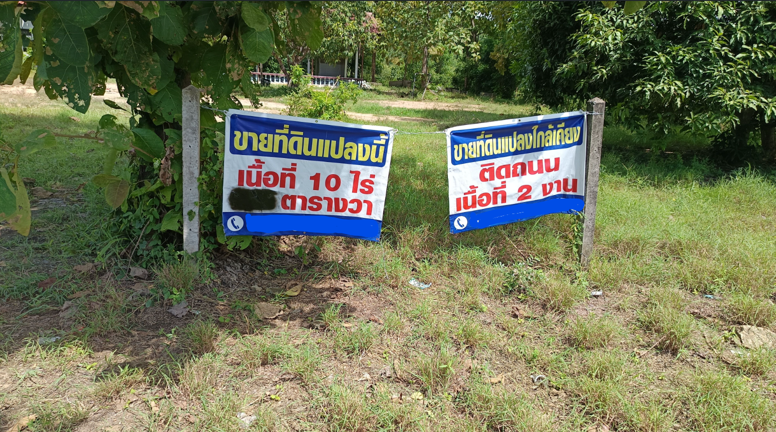 ขายที่ดินพิจิตร อำเภอโพทะเล เนื้อที่ 9 ไร่ 3งาน 43 ตารางวา ติดถนนสาธารณะ น่าลงทุน