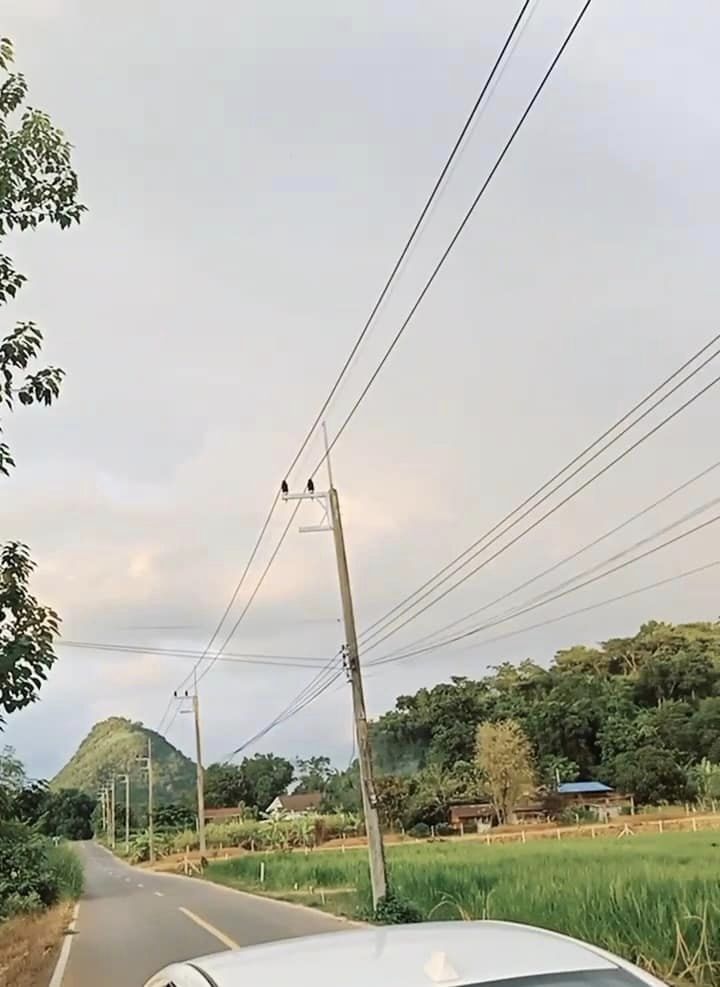 ขายที่ดินอุทัยธานี บ้านไร่ 1-0-51