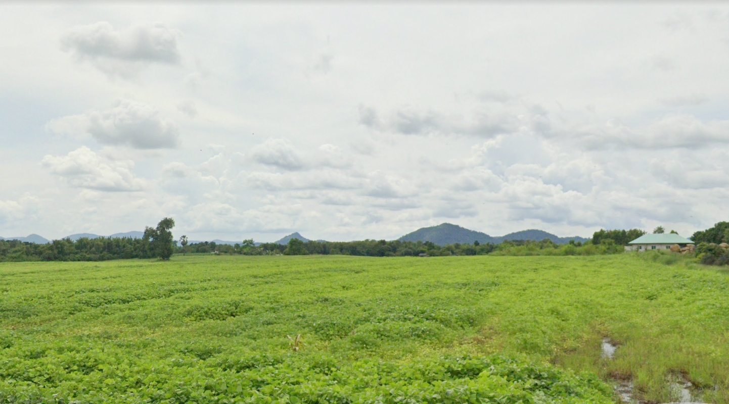ที่ดินเปล่า แปลงสวย หนองไผ่ เพชรบูรณ์ 4-1-90 ตร.ว.