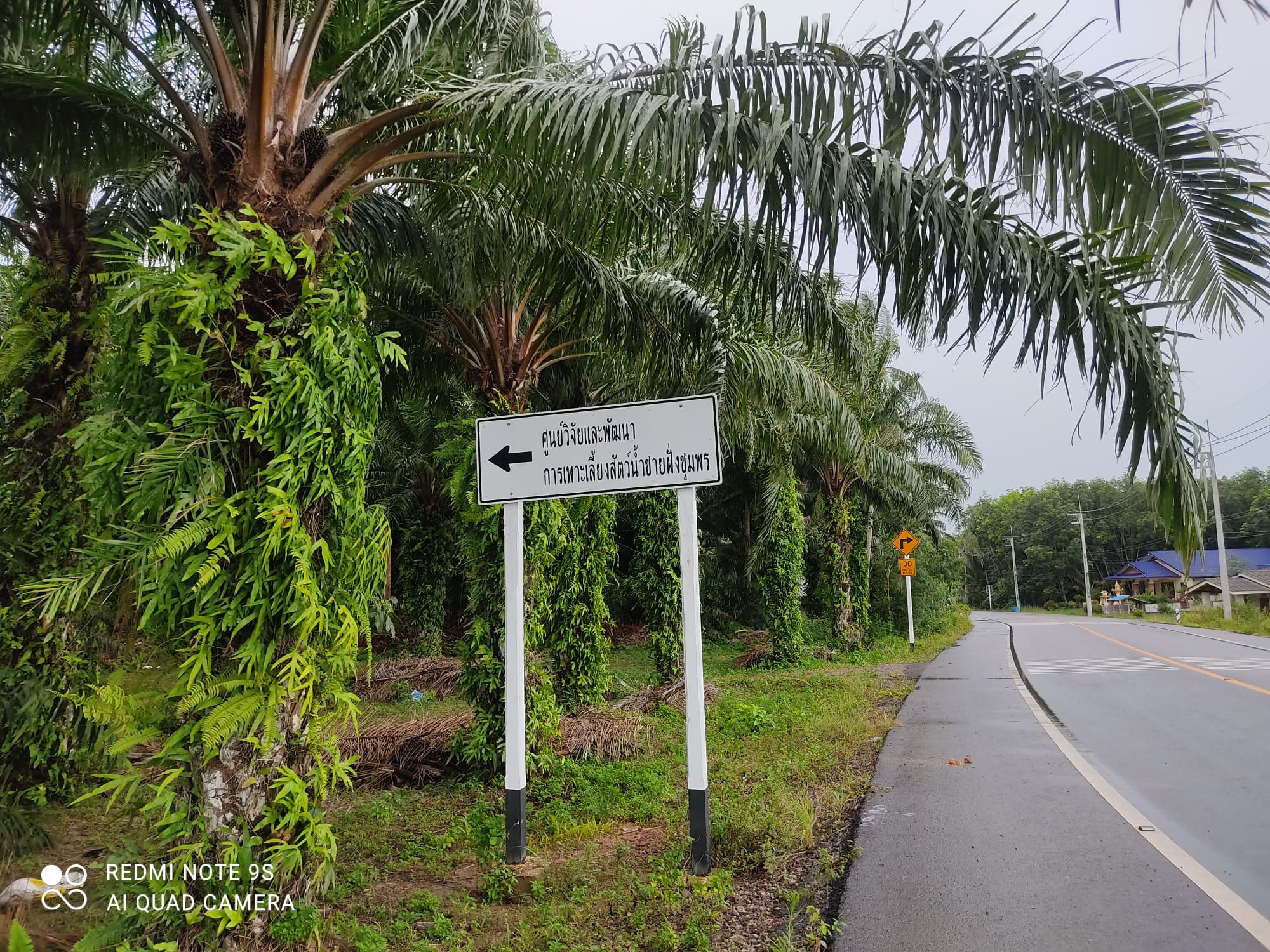 ขายที่ดินชุมพร เมืองชุมพร 4ไร่