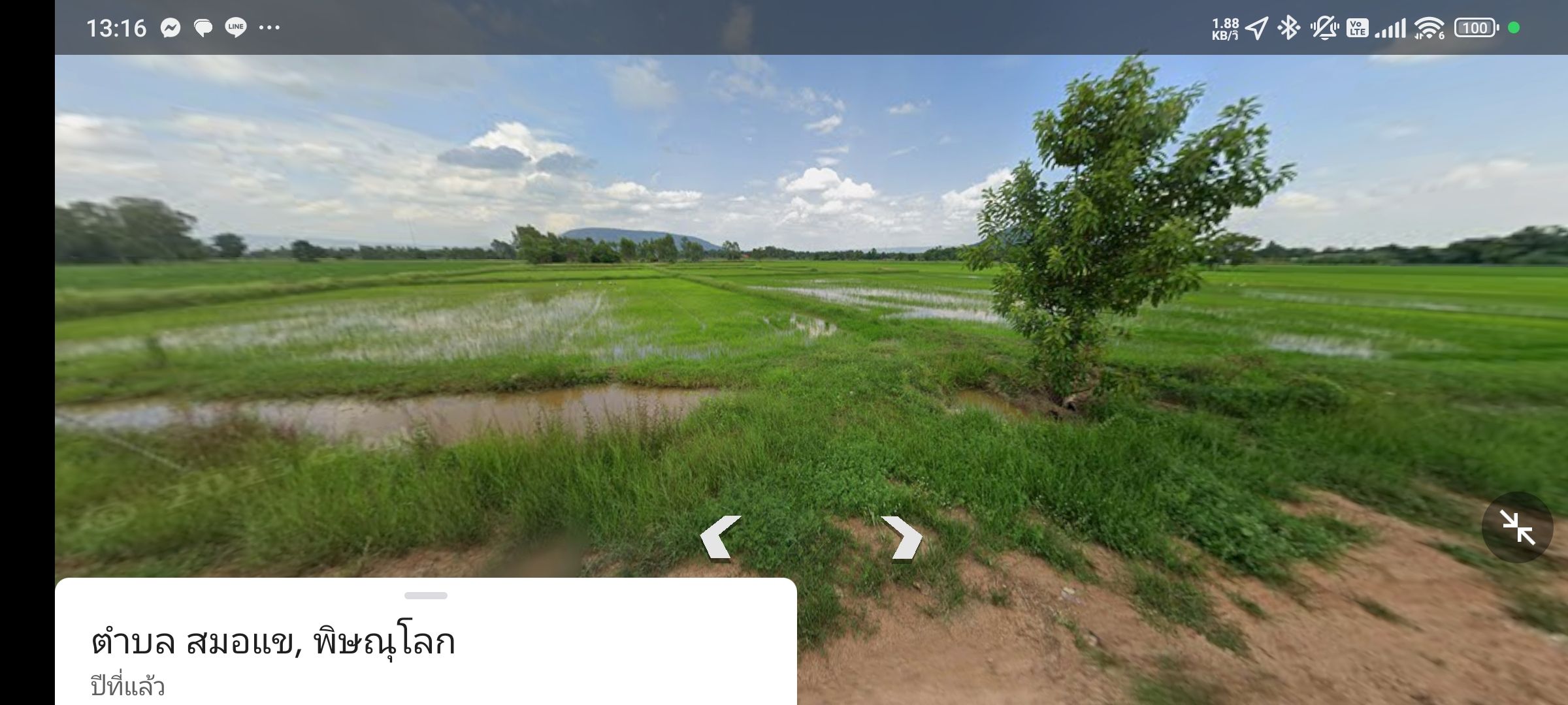 ขายที่ดินพิษณุโลก อำเภอเมือง เป็นที่นา