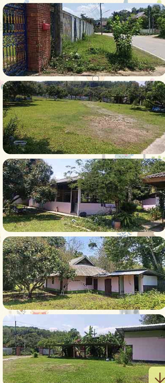 บ้านพร้อมที่ดิน มีบ้านหลังใหญ่ 1 เล็ก 3 เชียงราย 6-0-72
