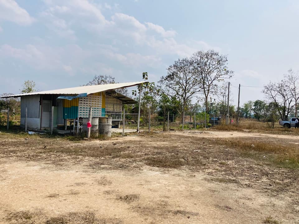 ที่ดินโครงการร่มฉัตรภูวิว บ้านธิ ลำพูน 158 ตรว.