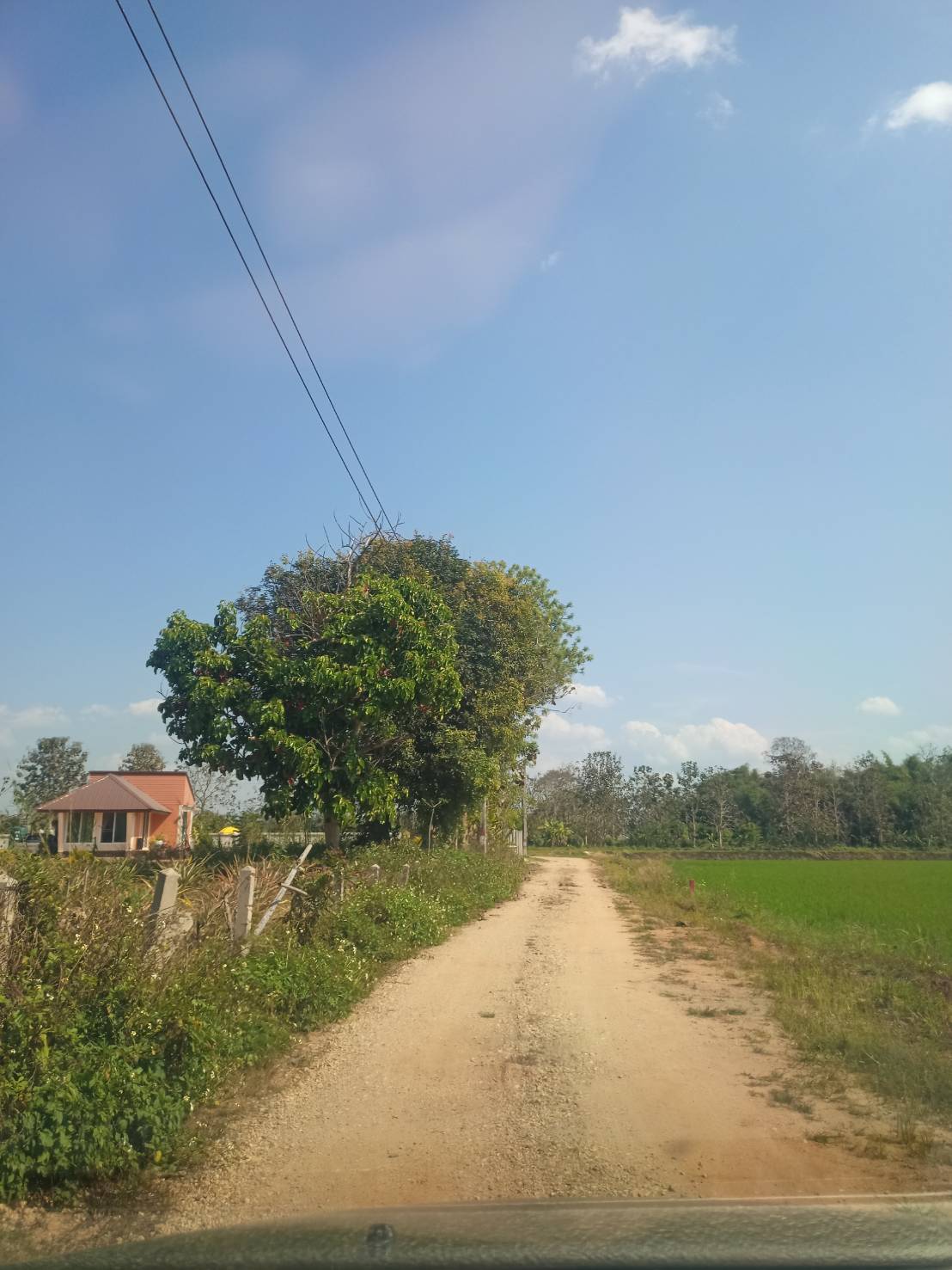 ที่ดินแปลงสวย เชียงราย 3-0-25