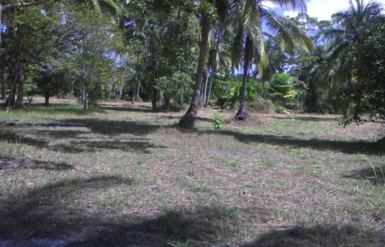 Land for sale at Takuapa Phang Ngaที่ดินใกล้ชายทะเล ต.บางม่วง อ.ตะกั่วป่า จ.พังงา 7-1-83 ไร่ ราคา 25.35 ล้าน