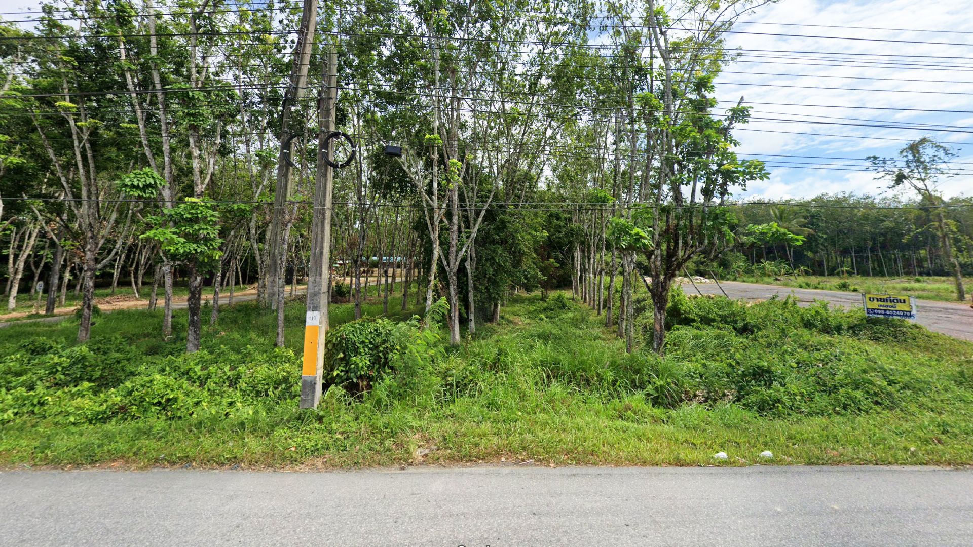 ขายถูก 5 ล้าน 9 แสน บาท ที่สวนยางติดถนนใหญ่ ระหว่างทางพัทลุง-ตรัง