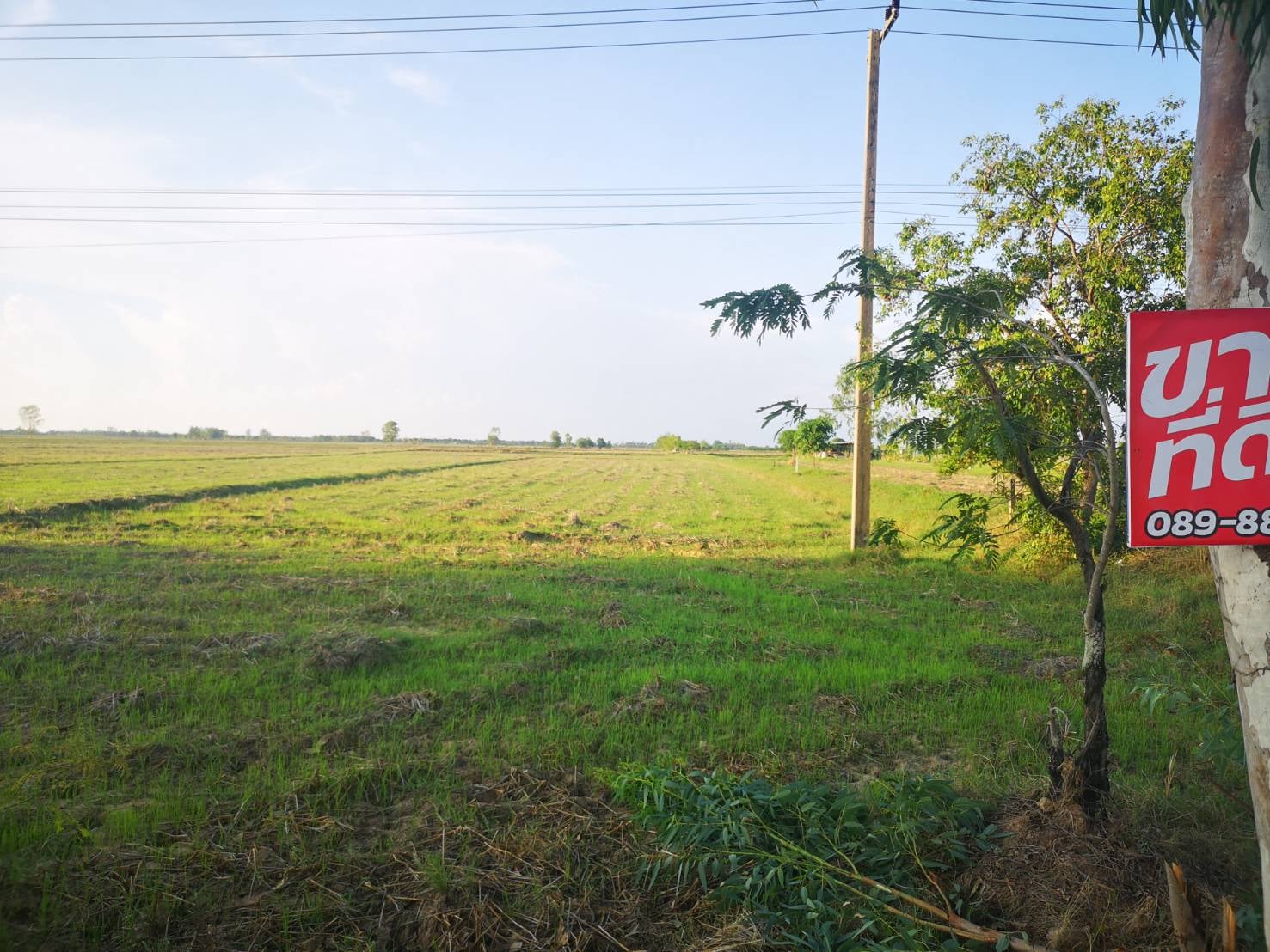 ที่ดินเปล่า ชุมพลบุรี สุรินทร์ 2-2-78