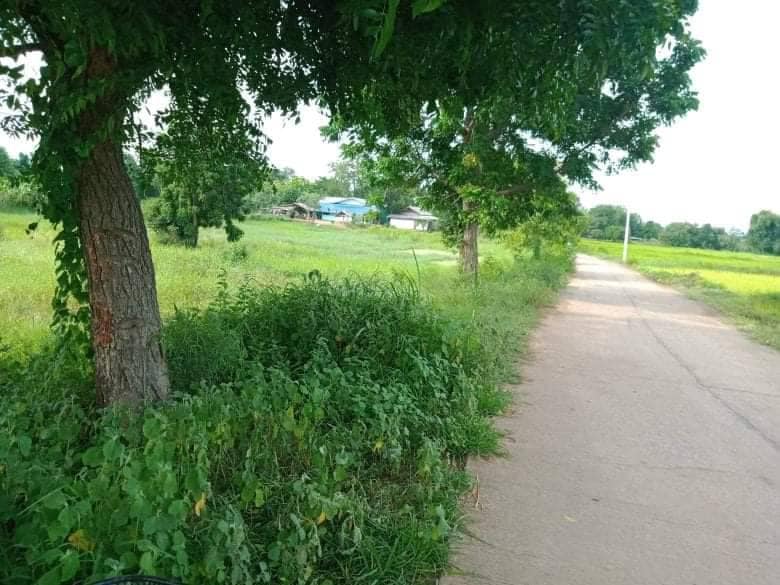 ที่ดินวิวเขา หนองบัวแดง ชัยภูมิ 16-3-99 ไร่