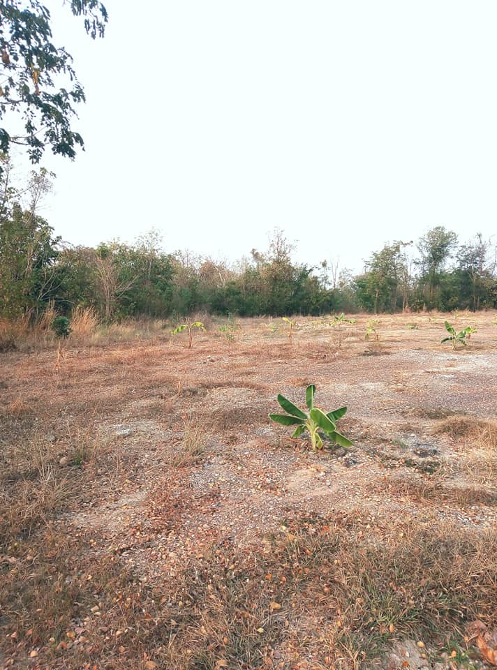 ที่ดินเปล่าแปลงใหญ่​ อุตรดิตถ์ 16-1-68