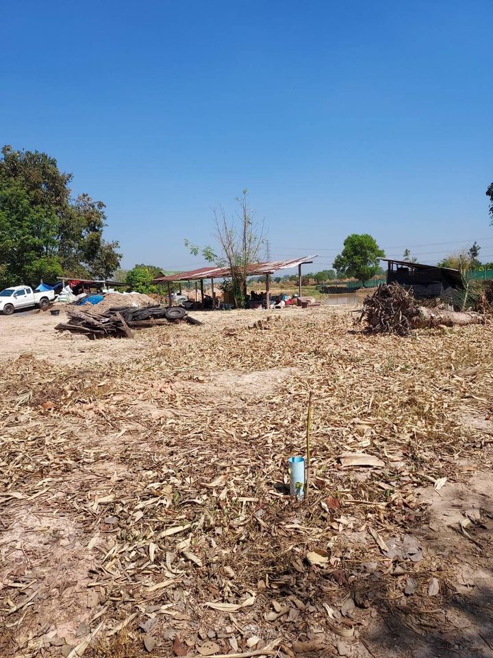 ที่ดินในเขตชุมชน เนื้อที่ 80 ตรว พิษณุโลก