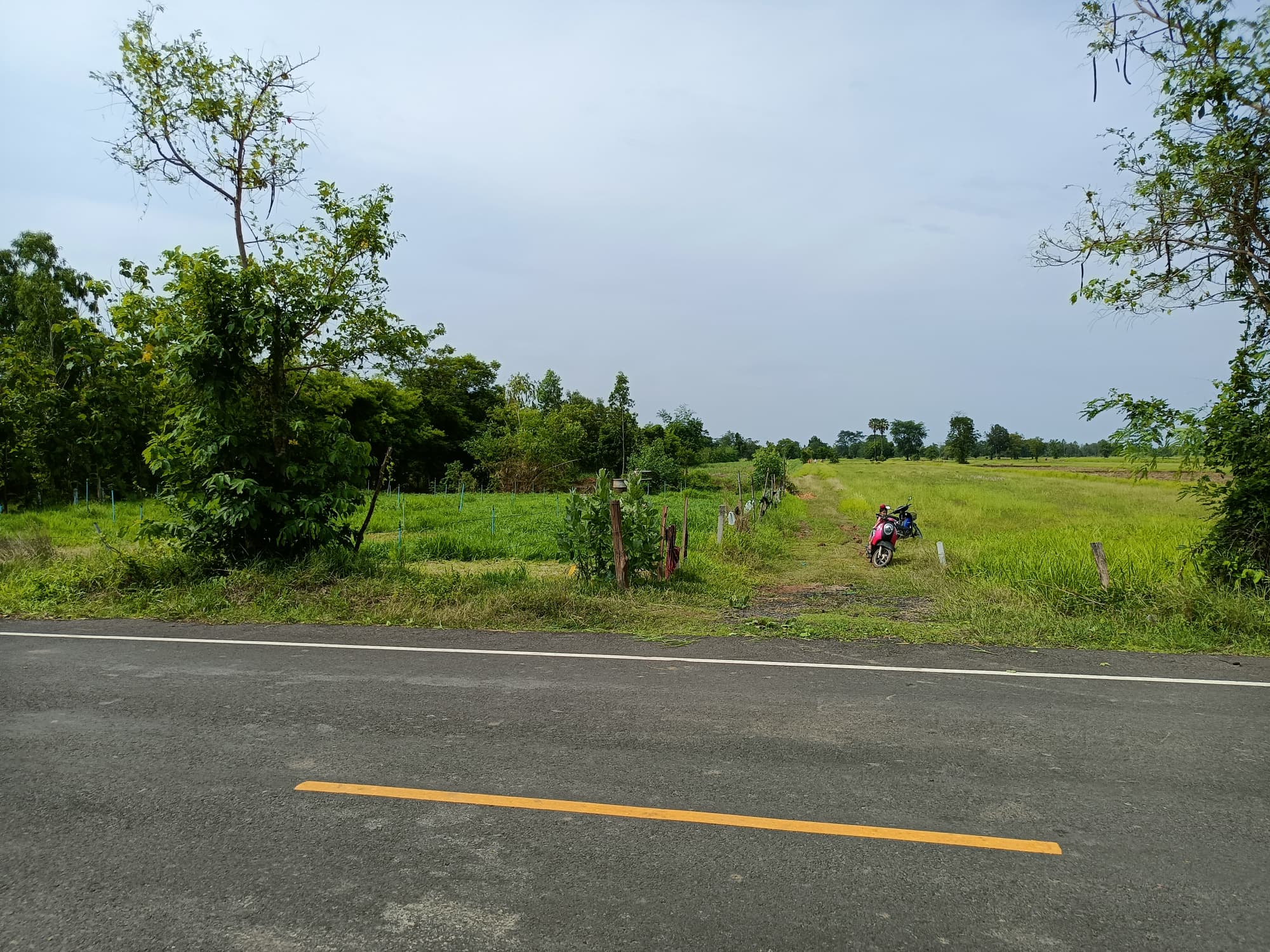 ที่ดินเปล่า แปลงยาว เมืองบุรีรัมย์ 7-3-29.8