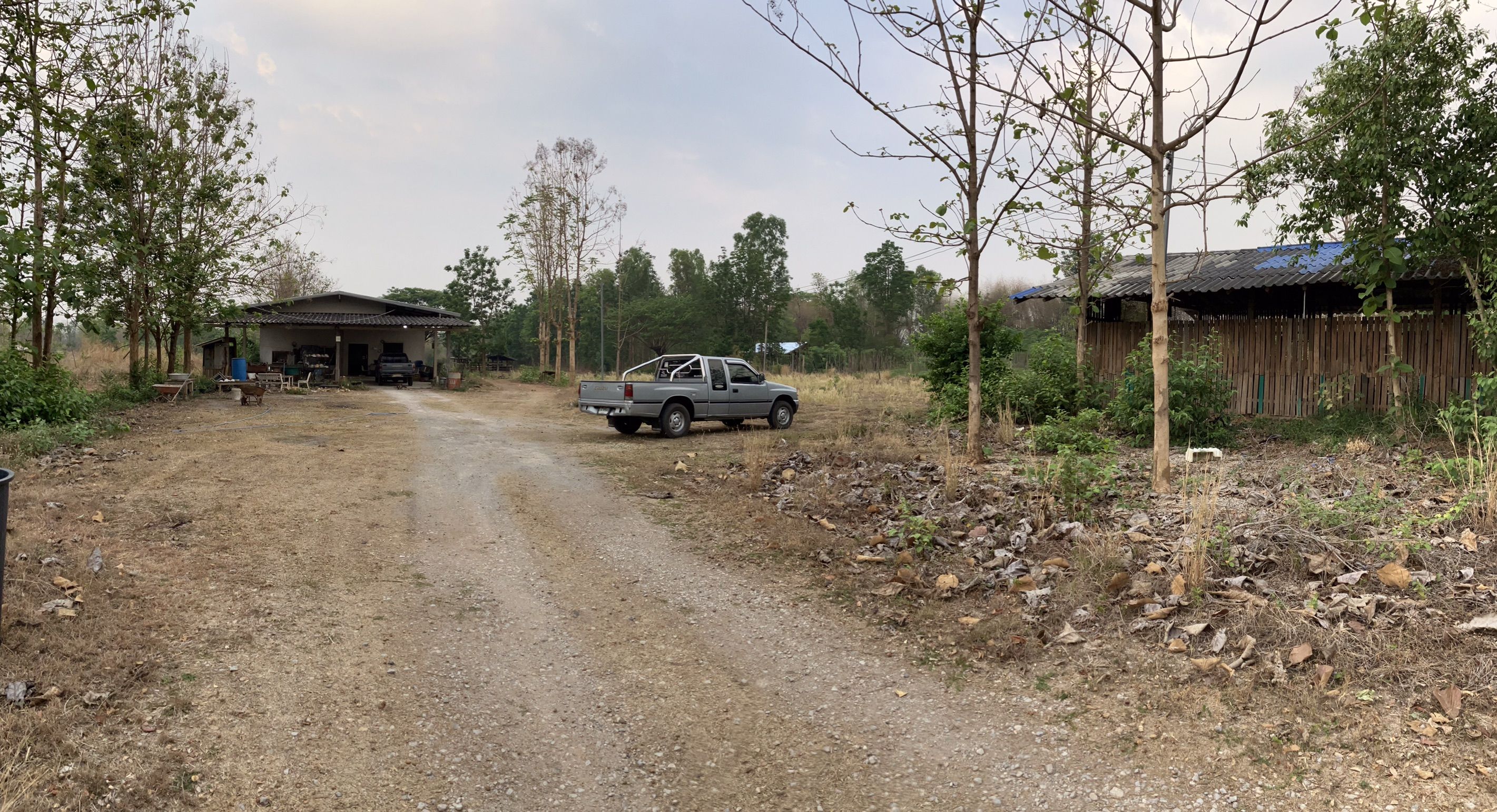 ที่สวน เกือบ 12 ไร่ บ้านสวนพร้อมโรงเรือนและสระน้ำ ใน บ้านหล่ายทุ่ง แม่ทะ ลำปาง