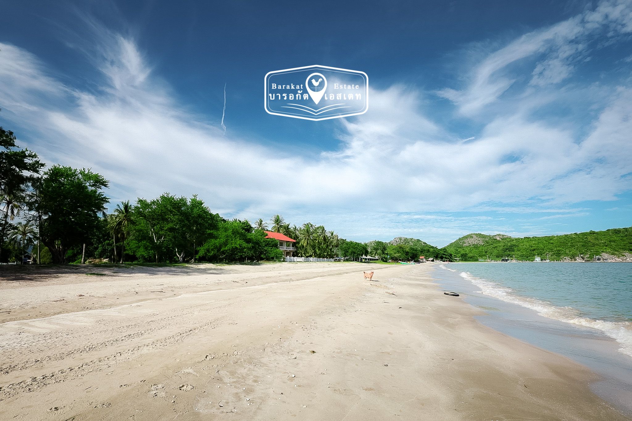 ที่สวยติดชายทะเล ชายหาดส่วนตัว หน้ากว้า 390 เมตร  เหมาะสำหรับสร้างโรงแรม บ้านพักตากอากาศ รีสอร์ท แบ่งล็อคขายเพื่อเพิ่มมูลค่า หรือซื้อเก็บไว้เพื่อทำกำไรได้