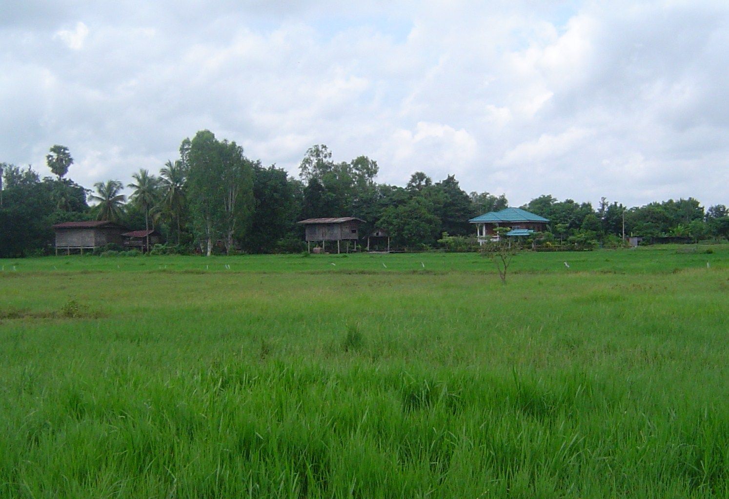 Land for Sale – 6,112 sqm in Makham Sung, Phitsanulok - Quiet Street Near Khwae Noi River