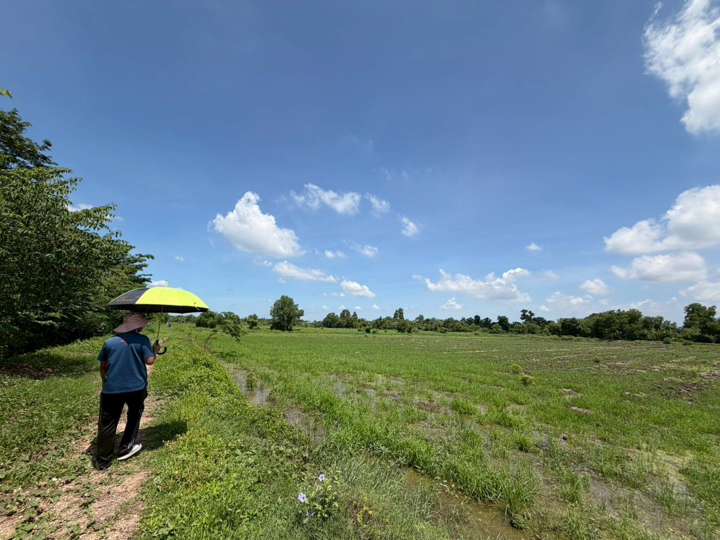 ขายที่ดินติดถนน 4 เลน บ้านนา นครนายก  28 ไร่  หน้ากว้างประมาณ 93 เมตร ลึกประมาณ 500 เมตร