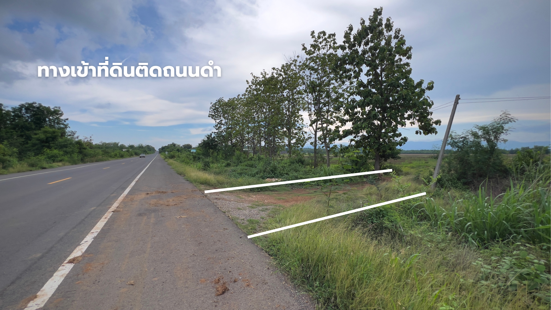 🌿 ขายด่วนที่ดินนาป่าทำเลทอง 13 ไร่ วิวสวย ราคาดี มีราคาพิเศษ 🌿