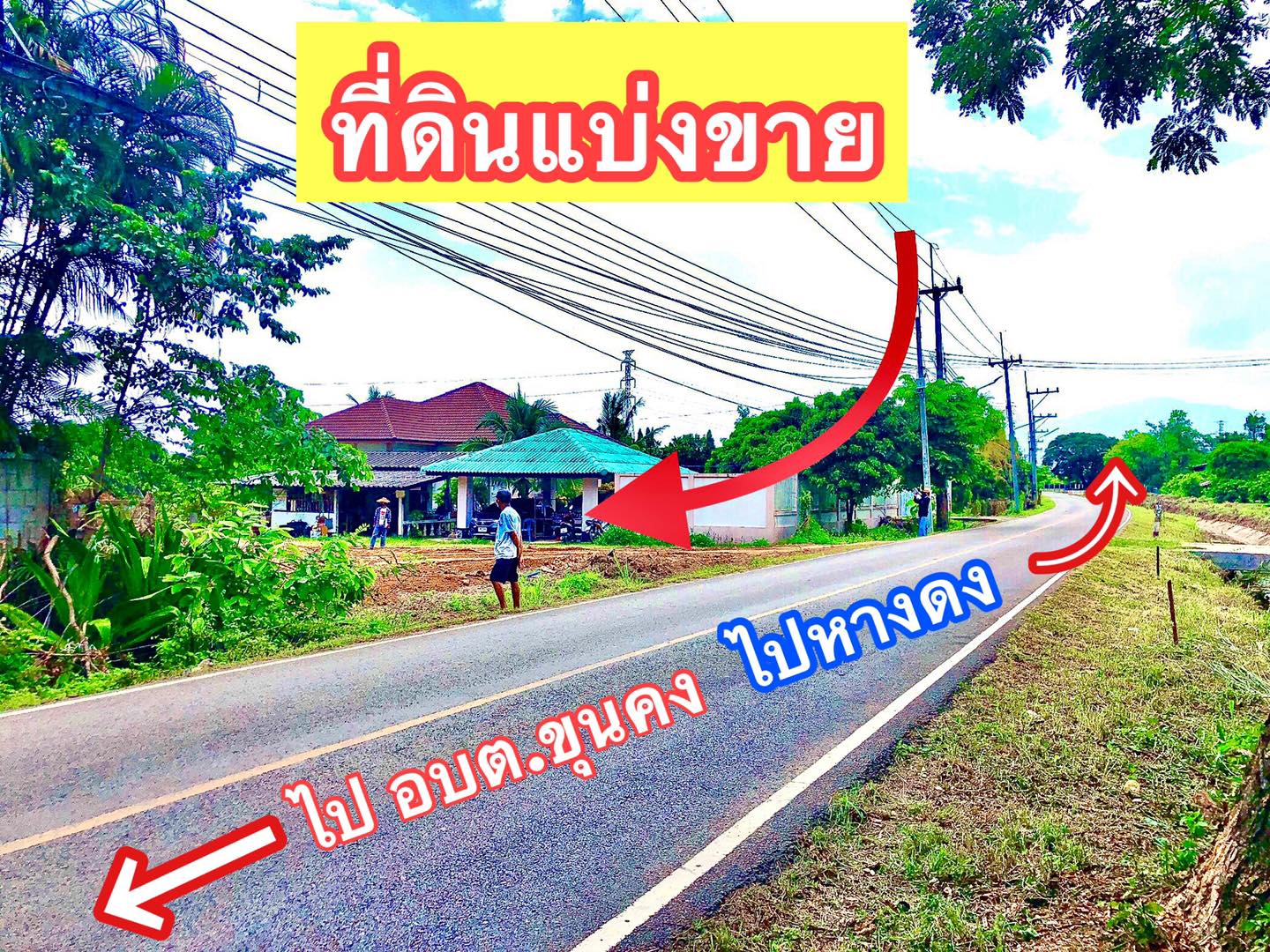 ขายที่ดินเชียงใหม่ อ.หางดง 71 ตรว.