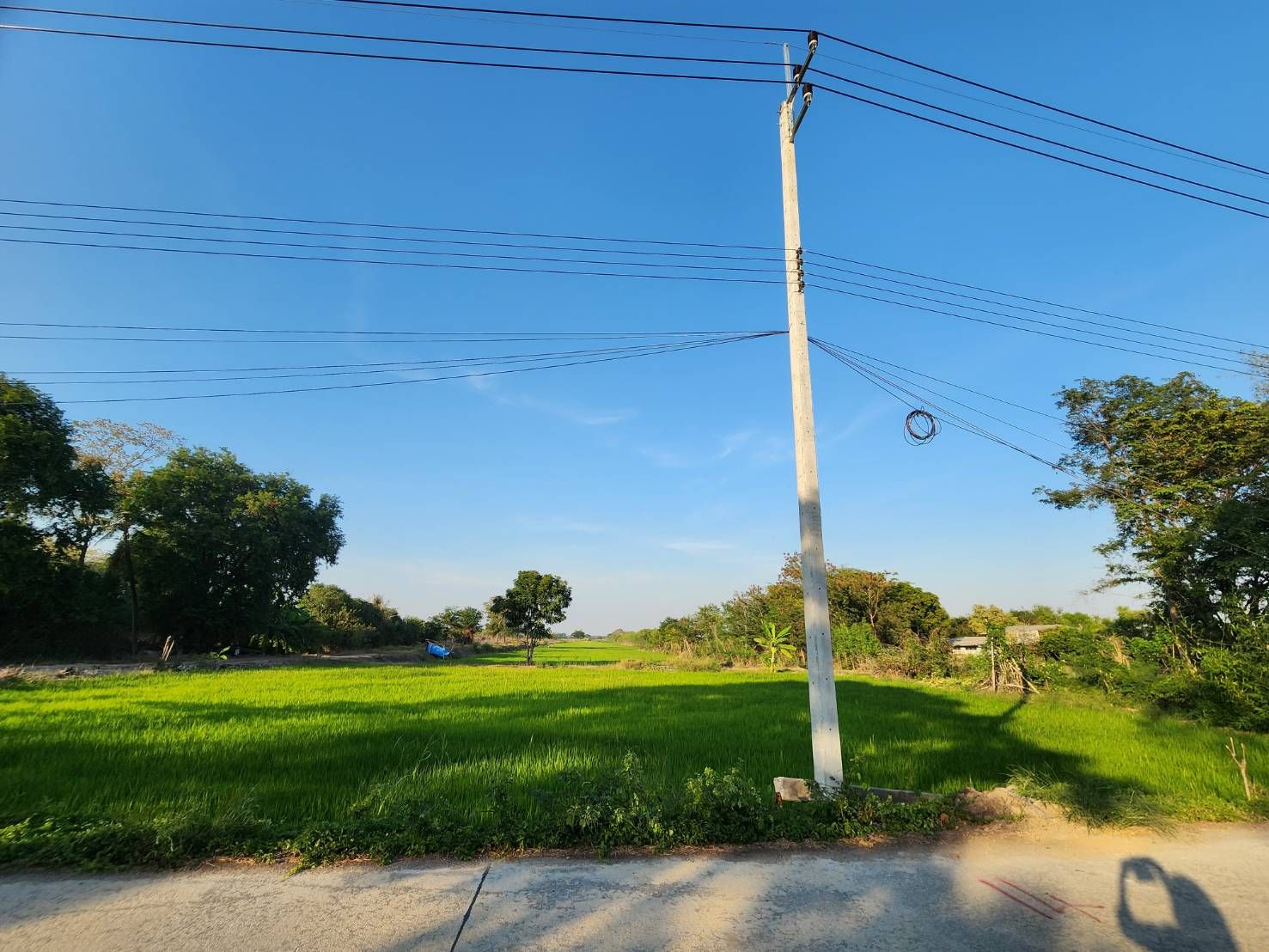ขายที่ดิน ติดถนน 2 ด้าน ใกล้วัดเจดีย์หอย 
