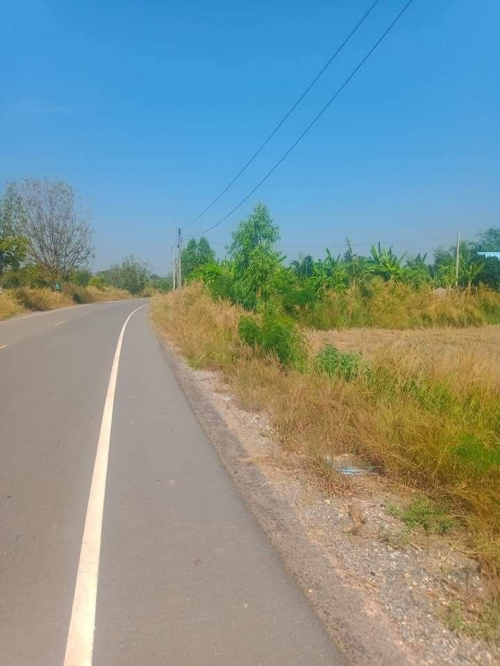 ขายที่ดิน 3-0-18 บ้านโพธิ์