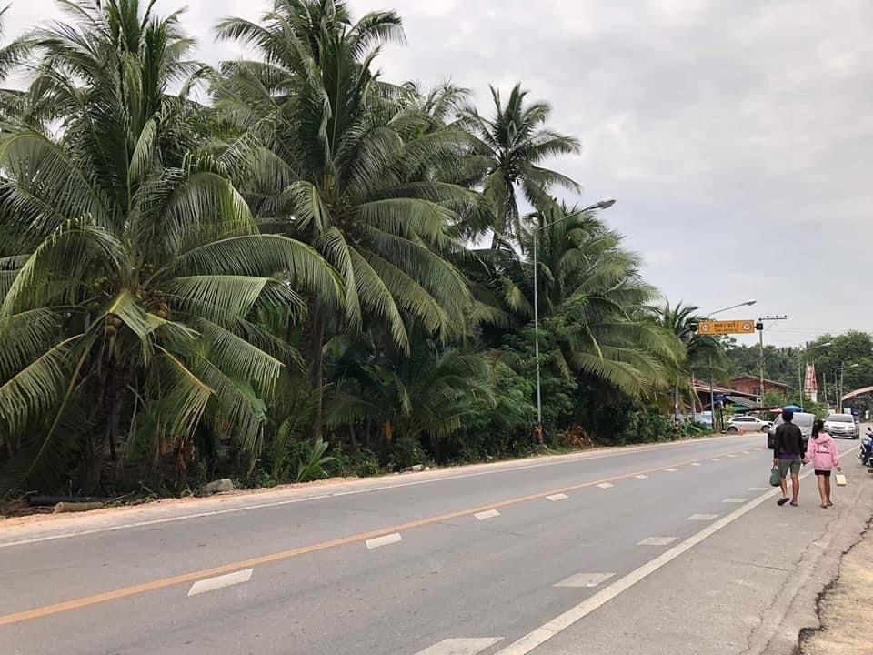 ขายที่ดินติดแม่น้ำแม่ขาย ที่ดินติดแม่น้ำแม่กลอง อยู่ติดอำเภอบางคนทีบางคนที่