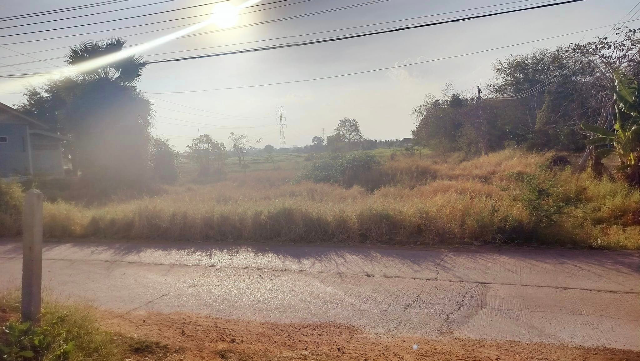 ขายที่ดิน 2 ไร่ บ้านหนองนาแซง