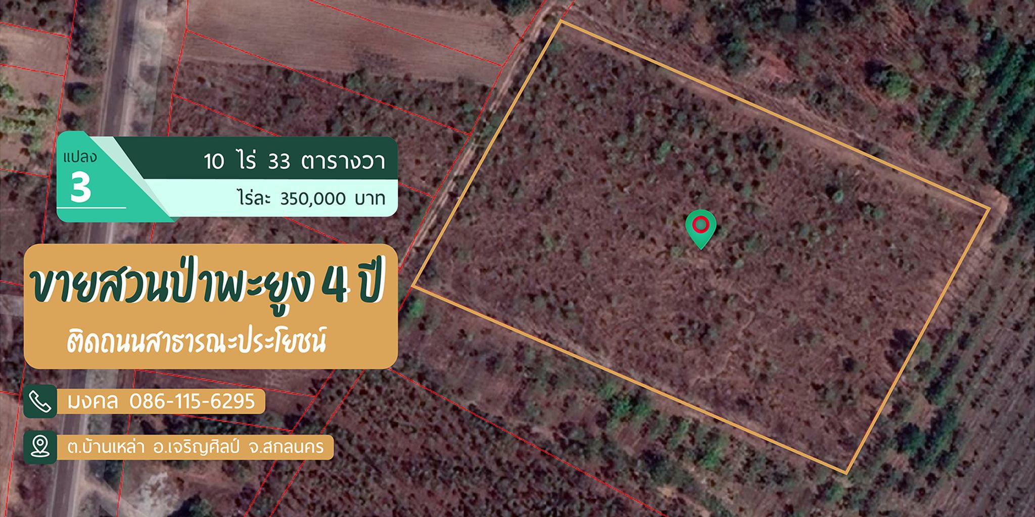 ที่ดิน พร้อมไม้พะยูงไทย 4ปี สกลนคร 10-0-33