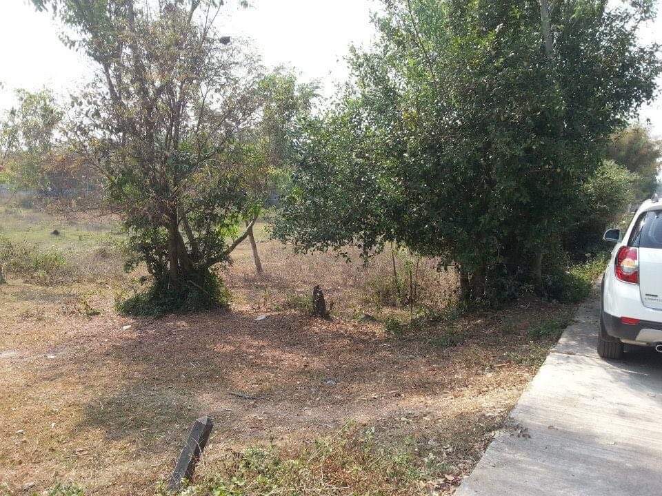 ขายที่ดินเปล่า อ.วิหารแดง จ.สระบุรี 0-1-0ไร่