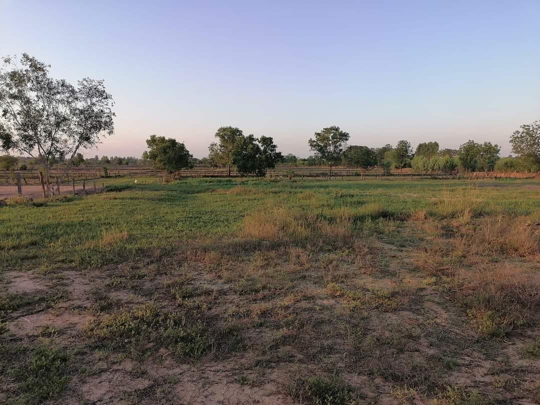 ที่ดินถมแล้ว จตุรพักตรพิมาน-ปทุมรัตน์ ร้อยเอ็ด 1 ไร่