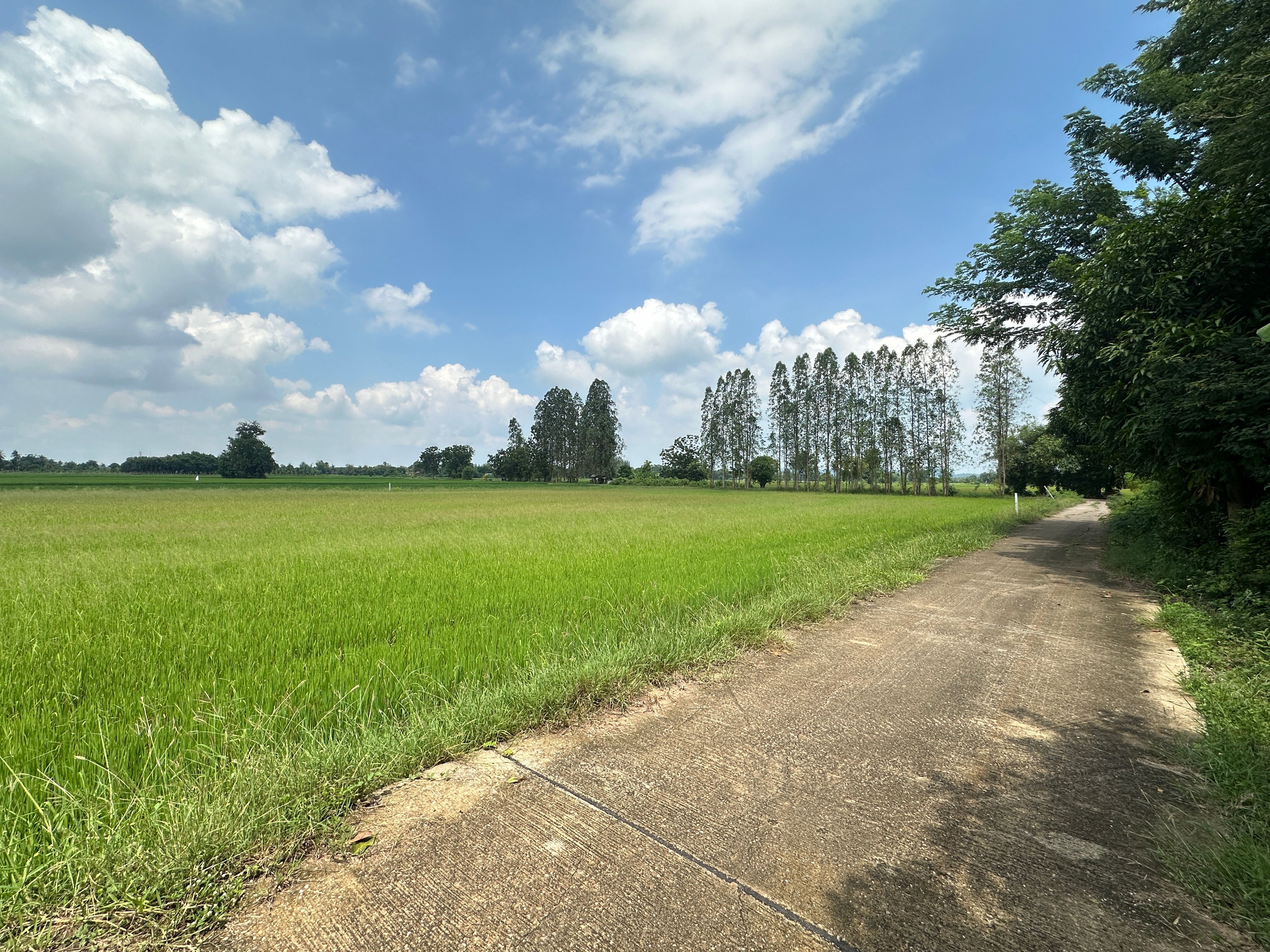 ที่ดินเขาขลุง บ้านโป่ง ราชบุรี
