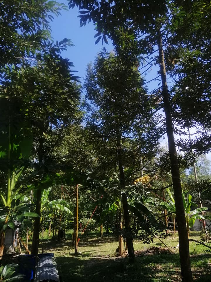 ขายที่ดิน จันทบุรี 1-2-10 ไร่