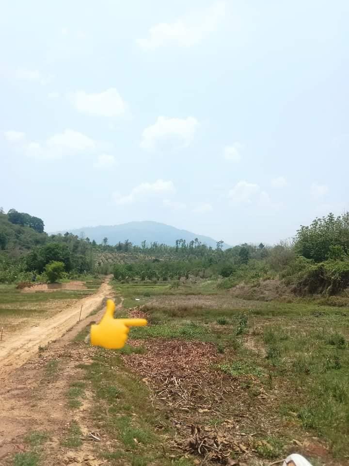 ขายที่ดินเปล่า อุตรดิตถ์ 10-0-42