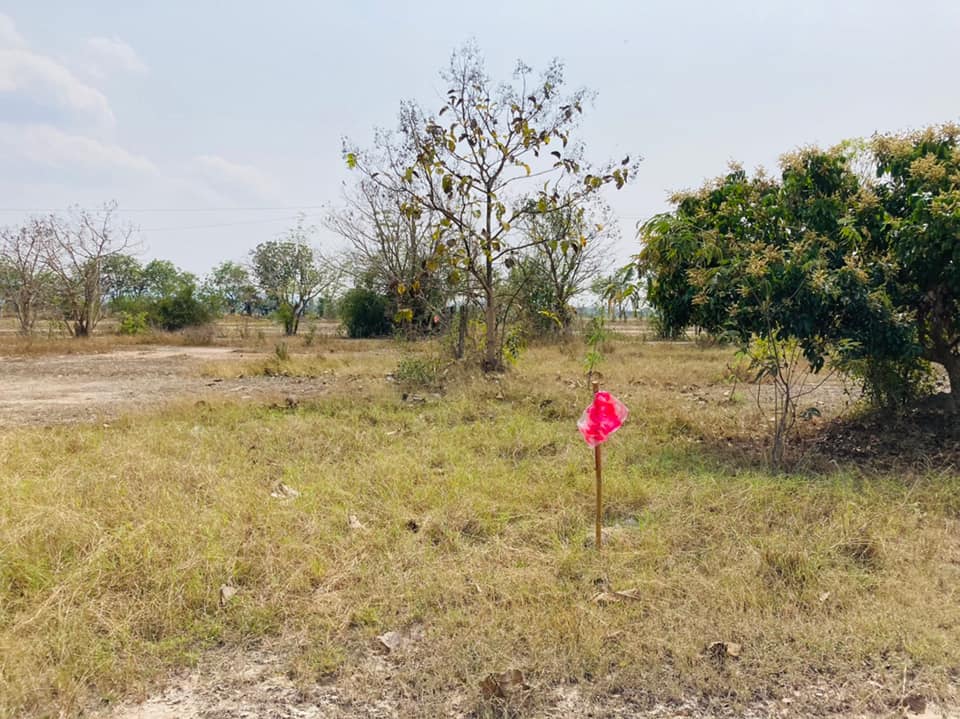ที่ดินถูกกว่าราคาประเมิน บ้านธิ ลำพูน 154 ตรว.