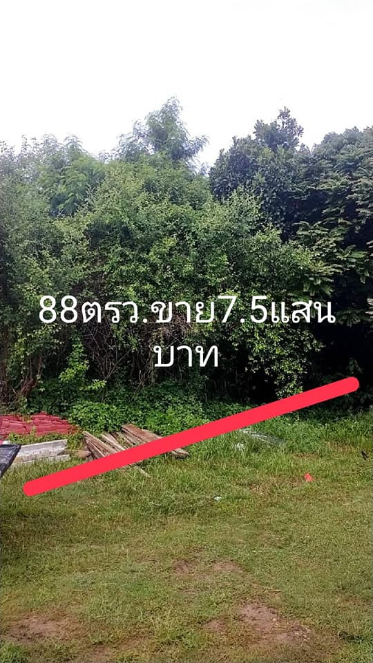 ที่ดิน ใกล้สนามบินนานาชาติ อุบลราชธานี 88.5 ตรว.