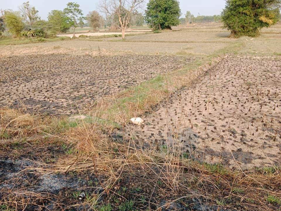 ขายที่ดิน กาฬสินธุ์ 1-0-20 ไร่