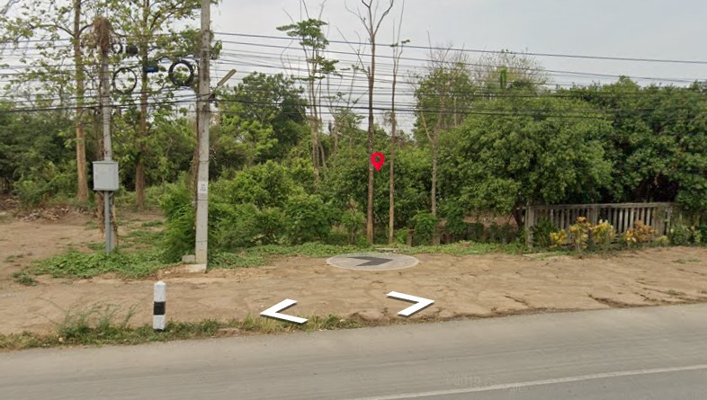 ที่ดินพร้อมต้นสัก สุโขทัย 1-2-6.2