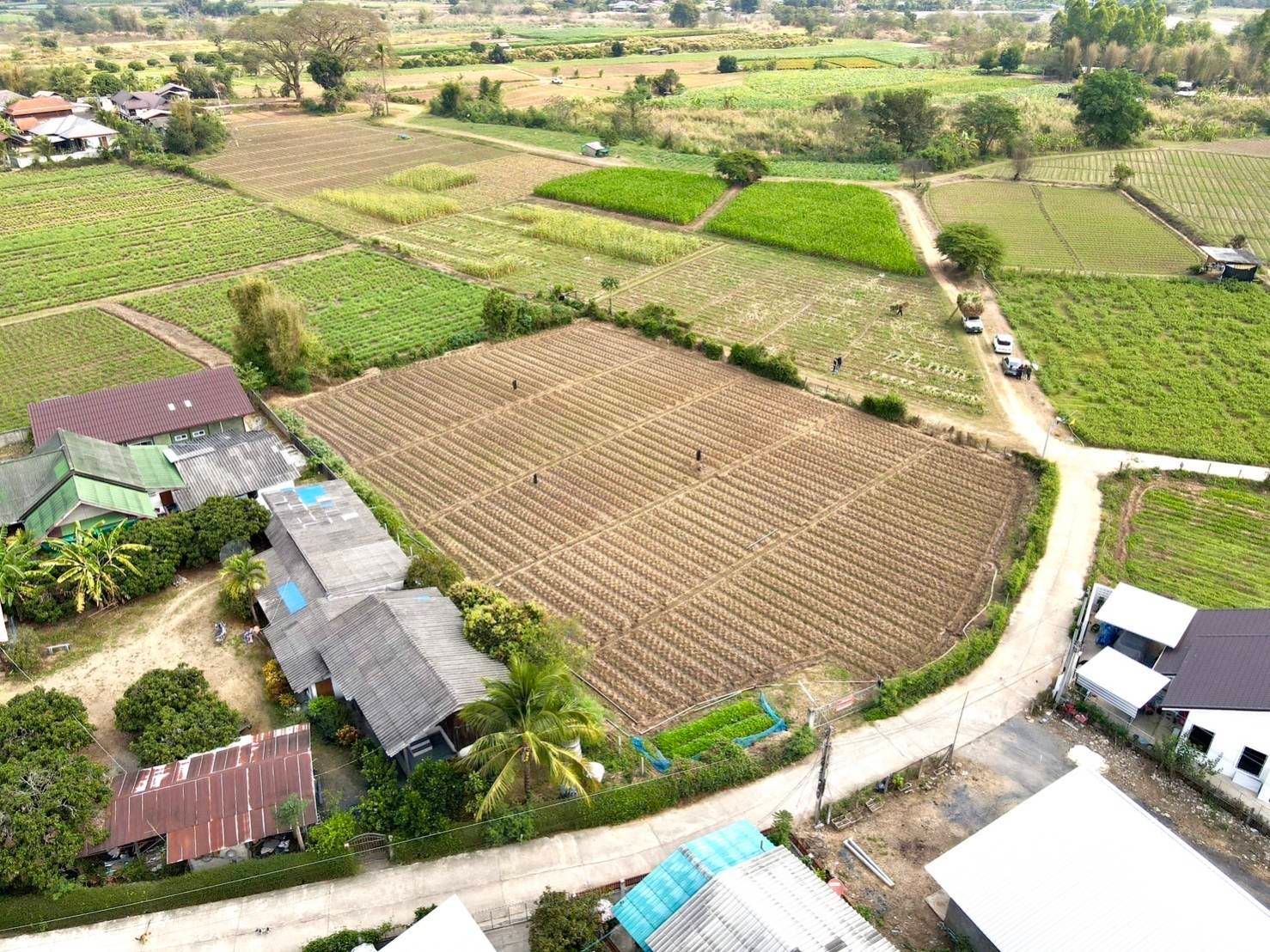 ขายที่ดิน 373 ตรว 2 แปลงติดกัน อำเภอแม่แตง จังหวัดเชียงใหม่ 