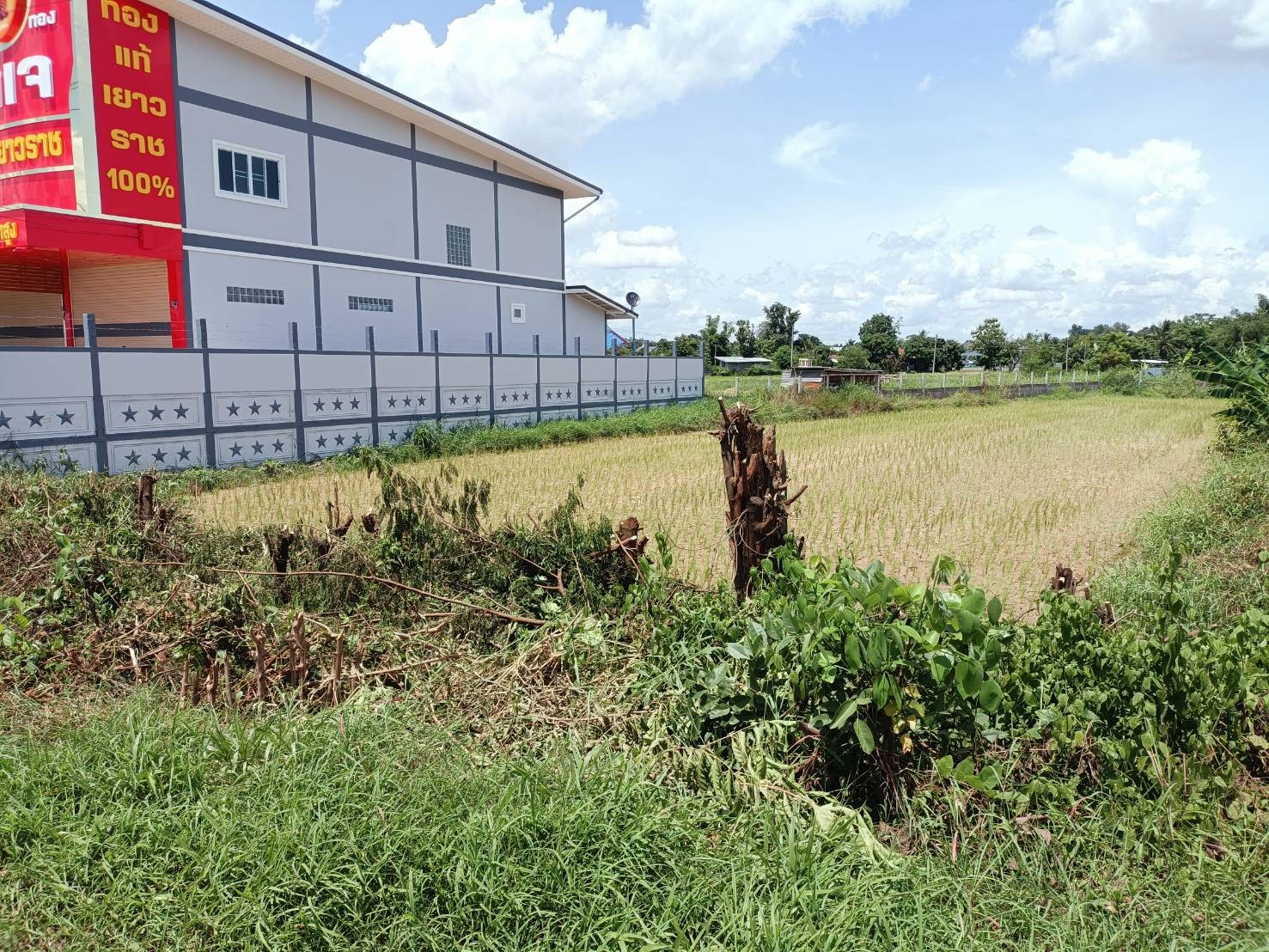 ขายที่ดิน ที่นา เมืองนครพนม 0-3-7.8