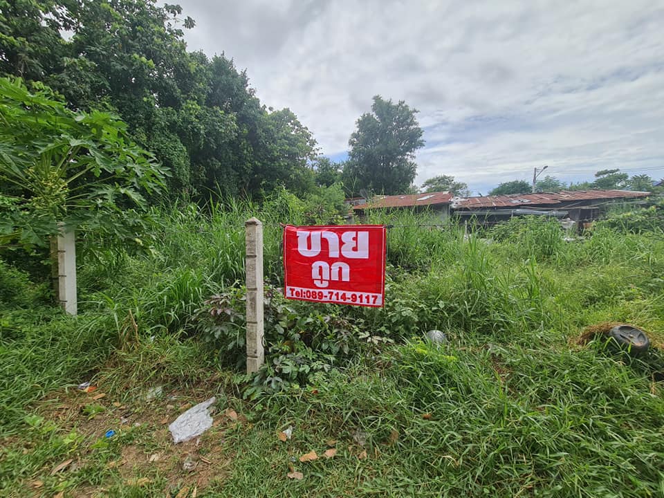 ที่ดินเปล่า ชลบุรี 47 ตร.ว