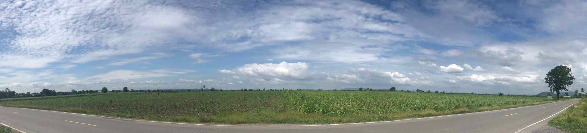 ที่ดินแปลงใหญ่ แปลงสวย วังม่วง สระบุรี 150-3-66