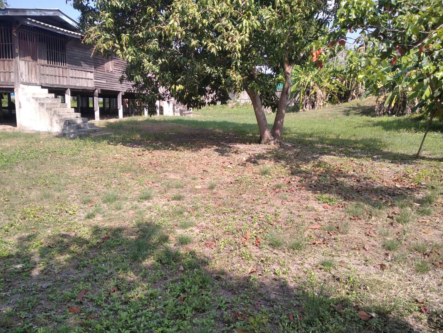 ขายบ้านพร้อมที่ดิน ติดทางขนานมอเตอร์เวย์ ชลบุรี