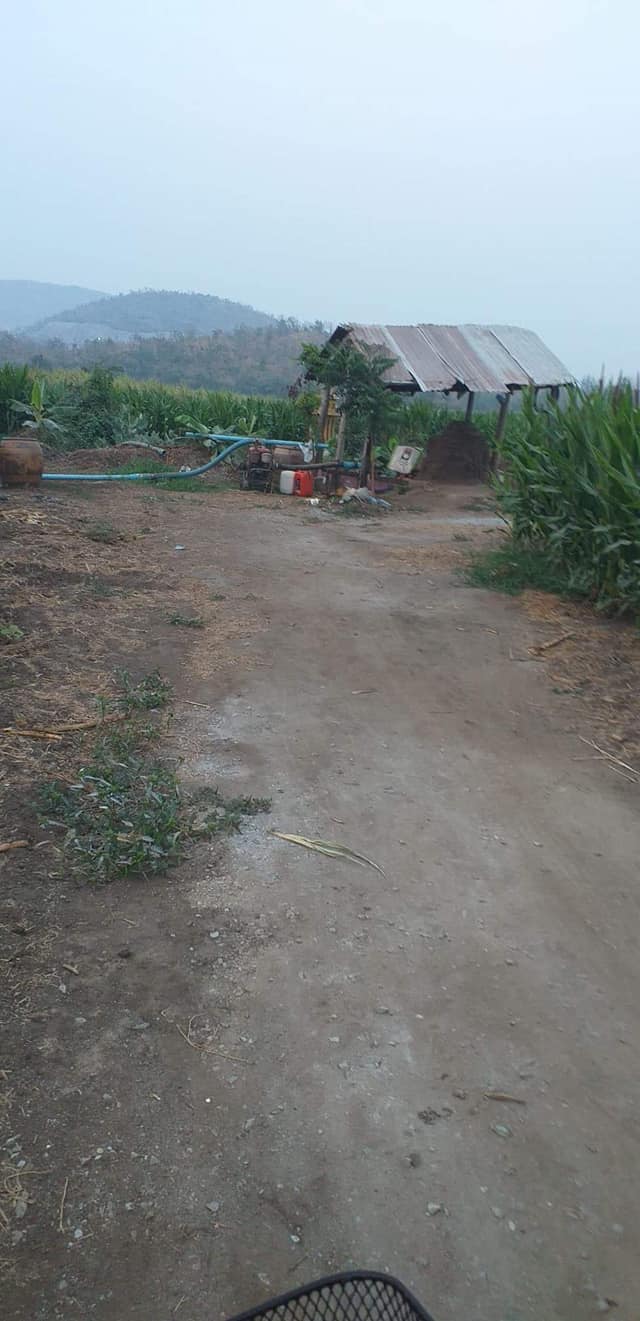 ที่ดินแปลงเกษตร สุพรรณบุรี 39-0-6.1
