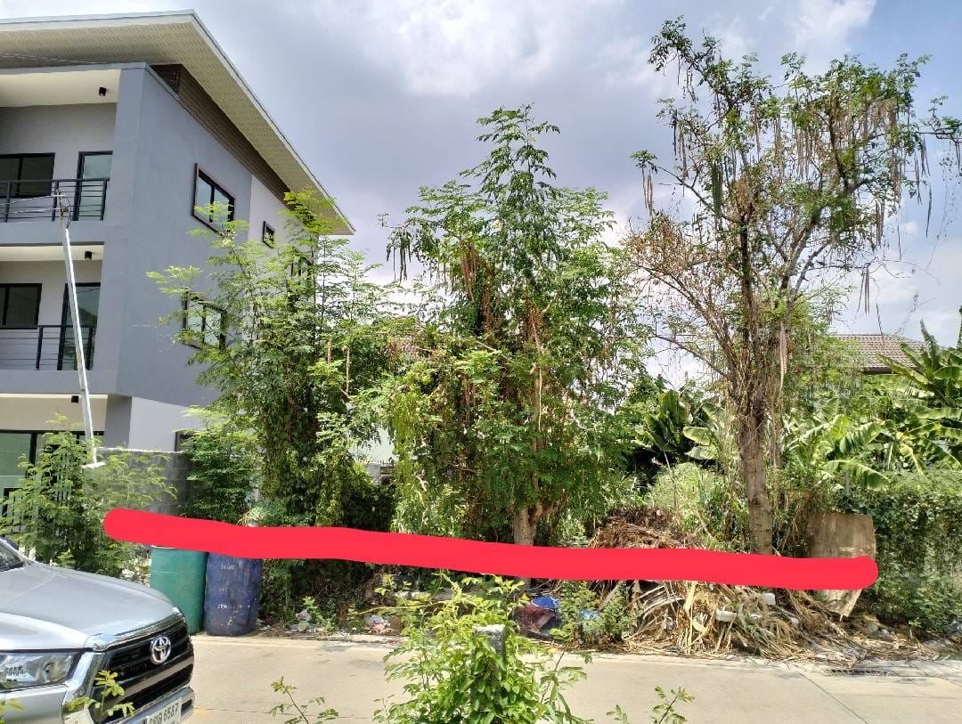 ขายที่ดินรังสิต คลอง 1-2 46 ตร.วา (Land for sale, Rangsit, Close to Khlong 2, 184 sq.m)...